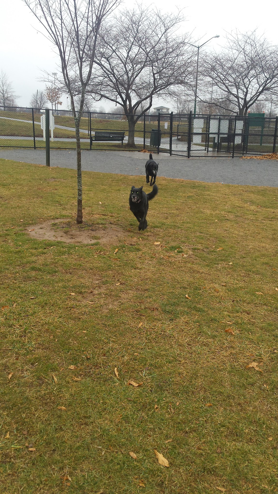 Fairgrounds Park - Hagerstown, MD