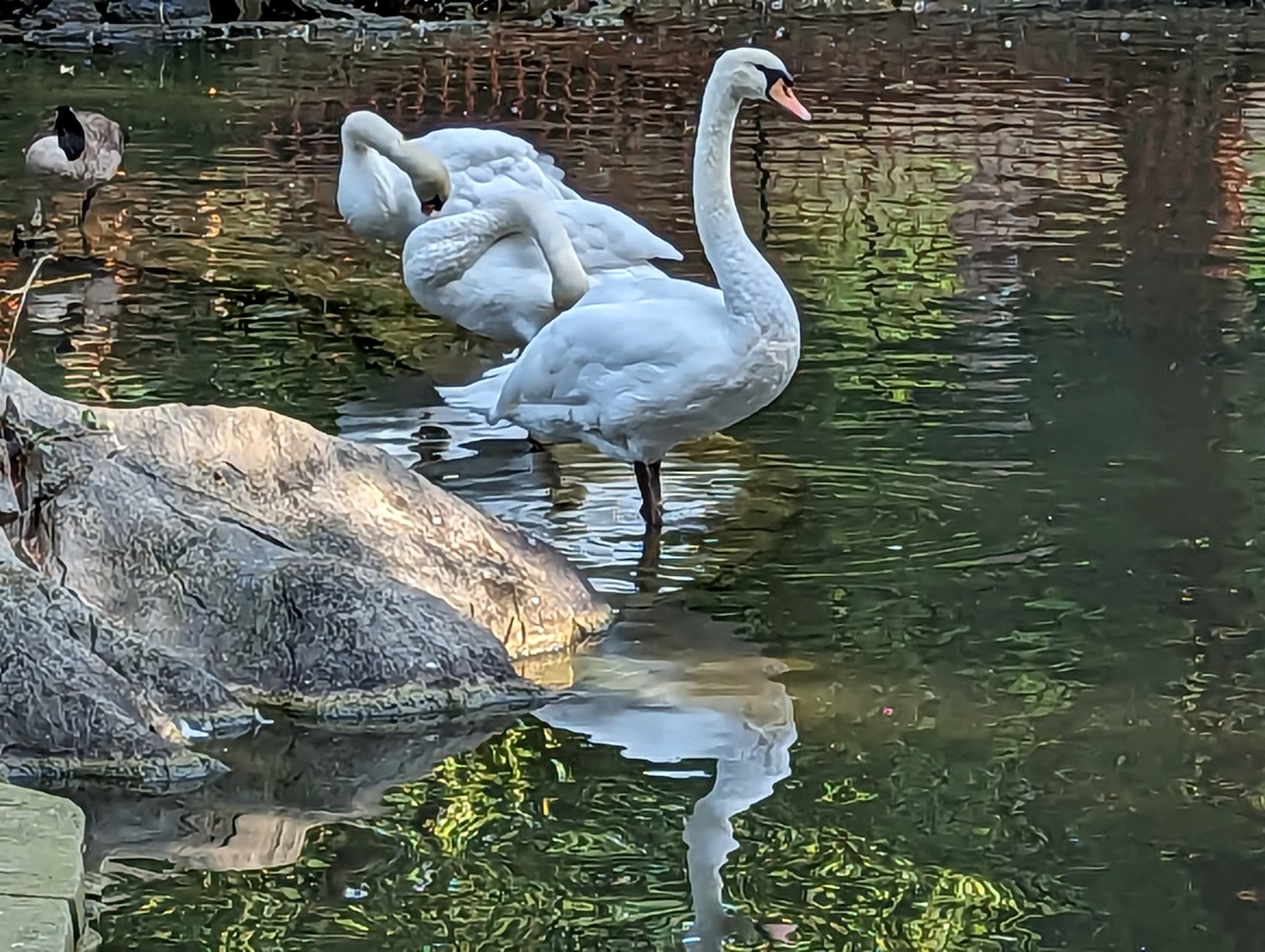 Hagerstown City Park - Hagerstown, MD