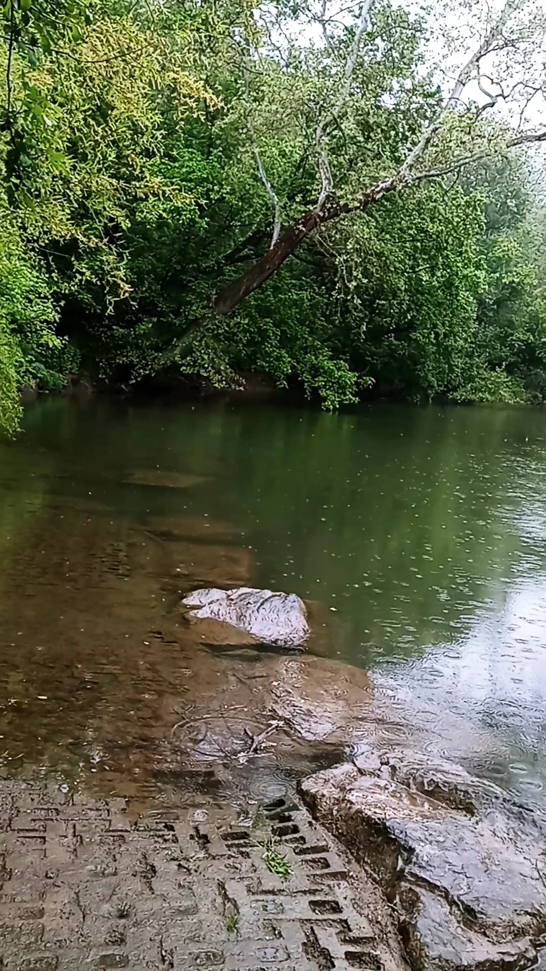 Kiwanis Park - Hagerstown, MD