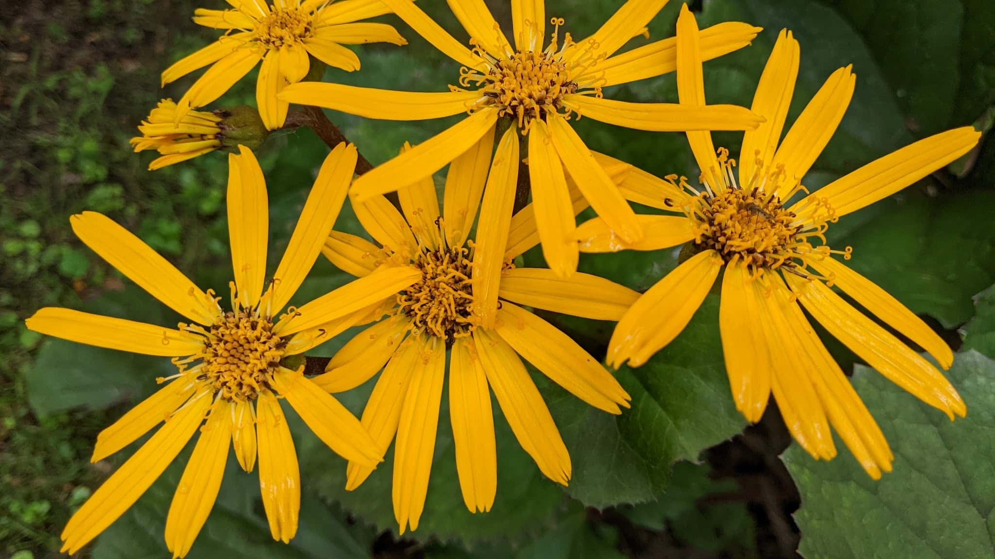Peggy's Point - Hague, NY