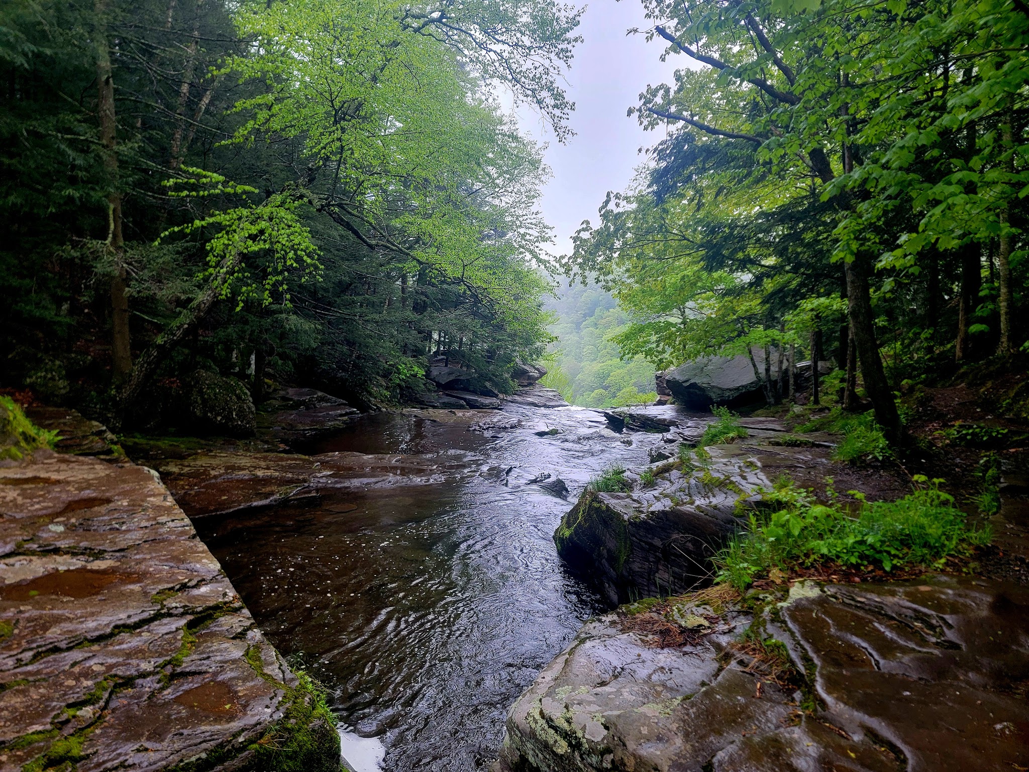 Kaaterskill Rail Trail - Haines Falls, NY