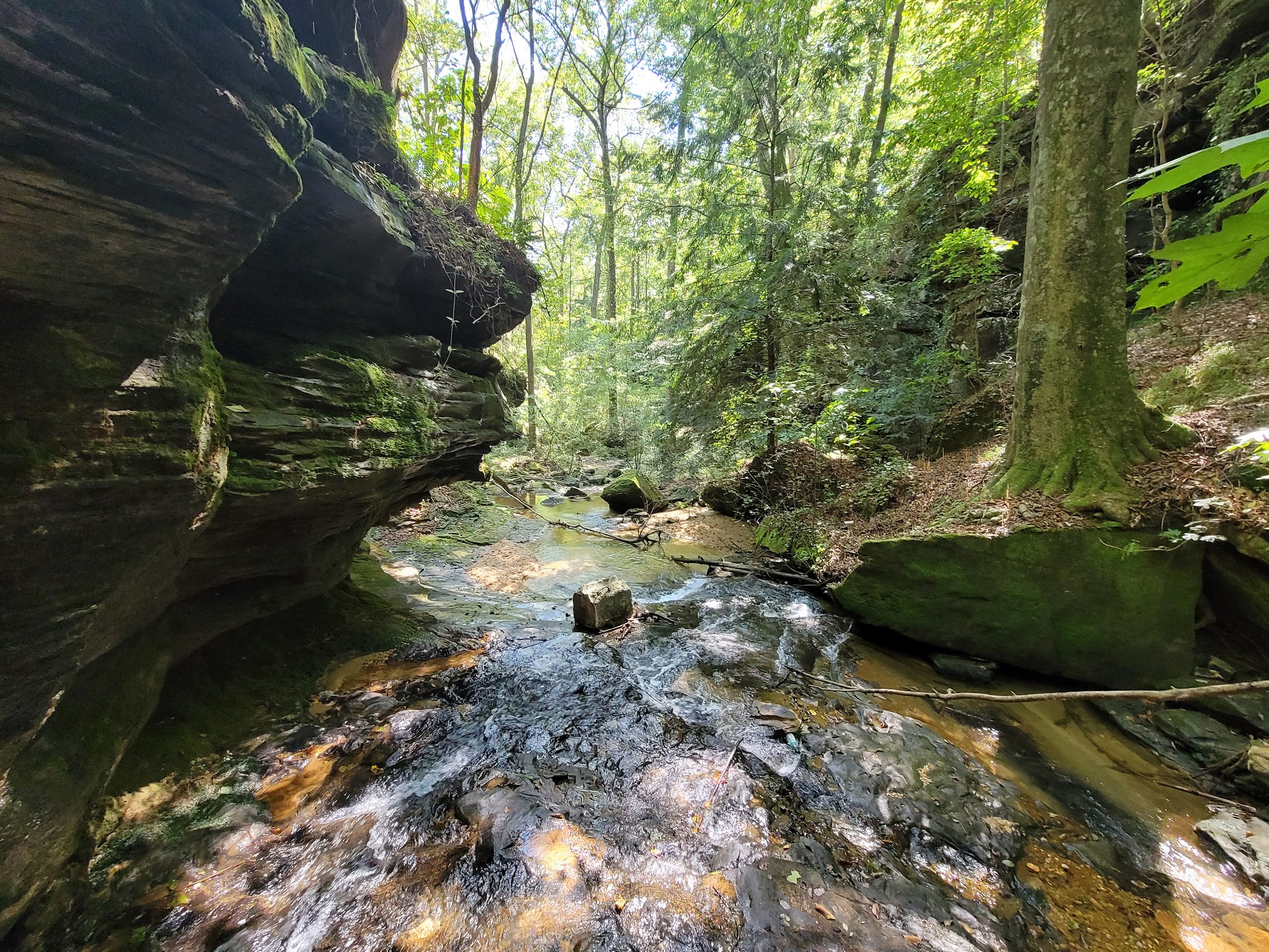 Rocky Ravine Park - Haleyville, AL