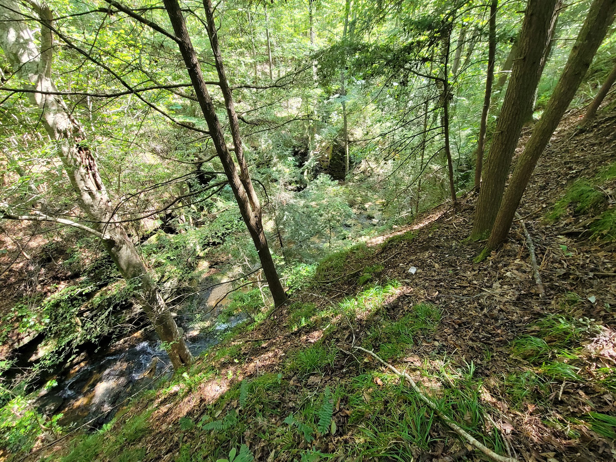 Rocky Ravine Park - Haleyville, AL
