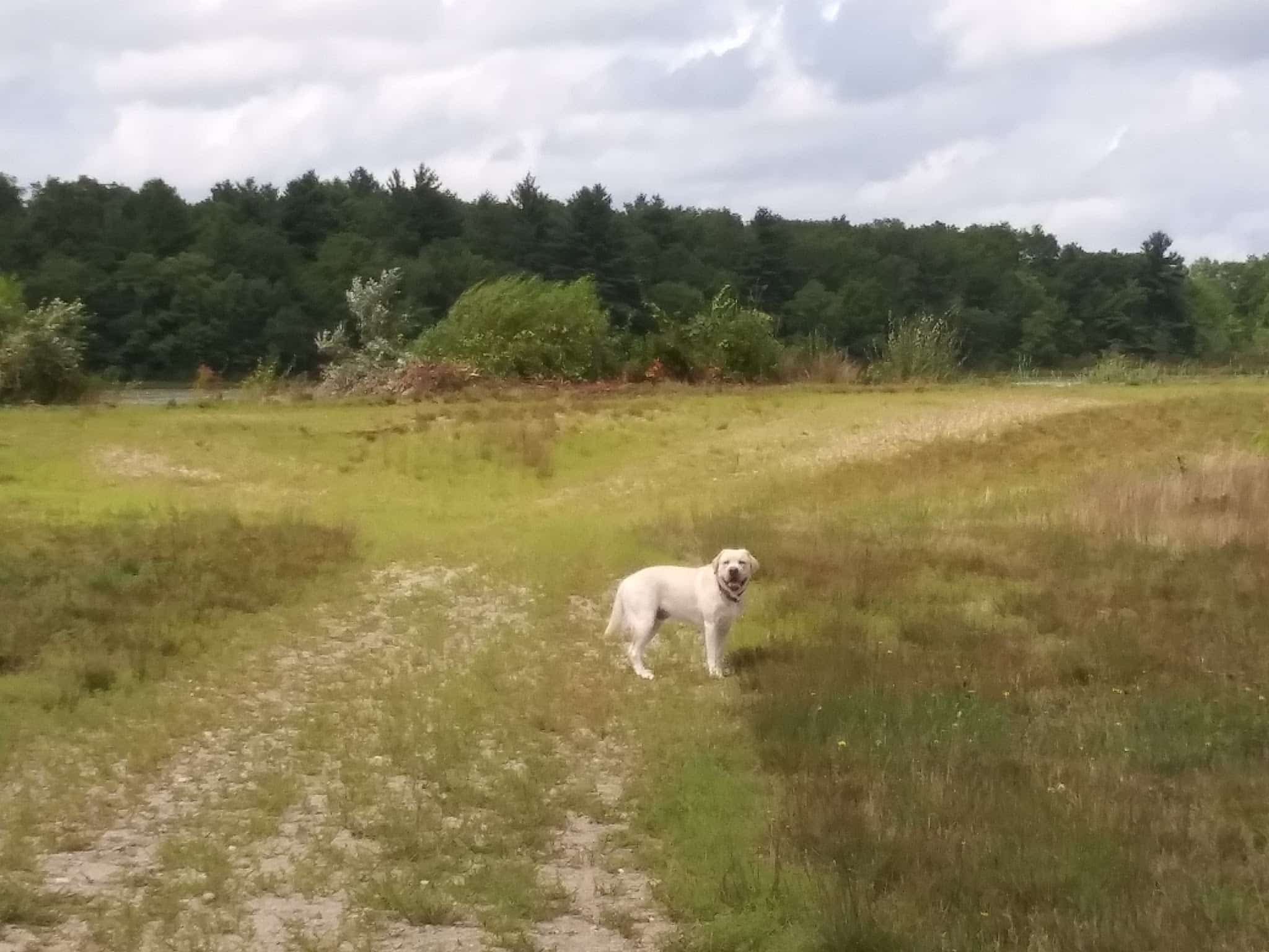 Burrage Pond - Halifax, MA
