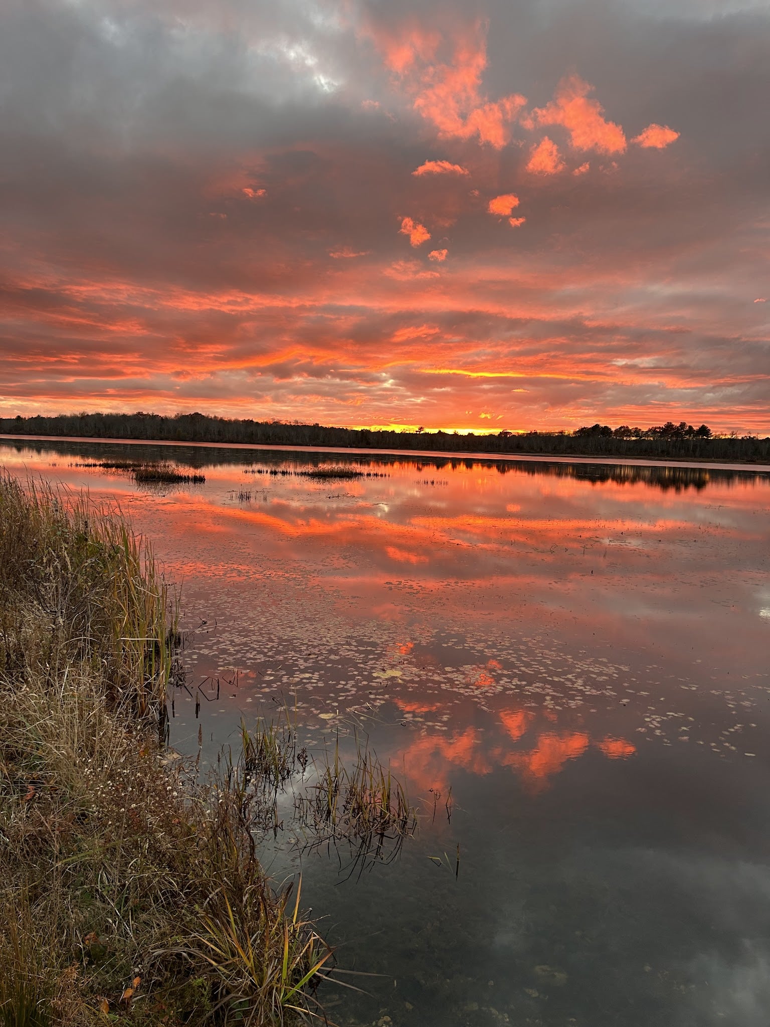 Burrage Pond - Halifax, MA