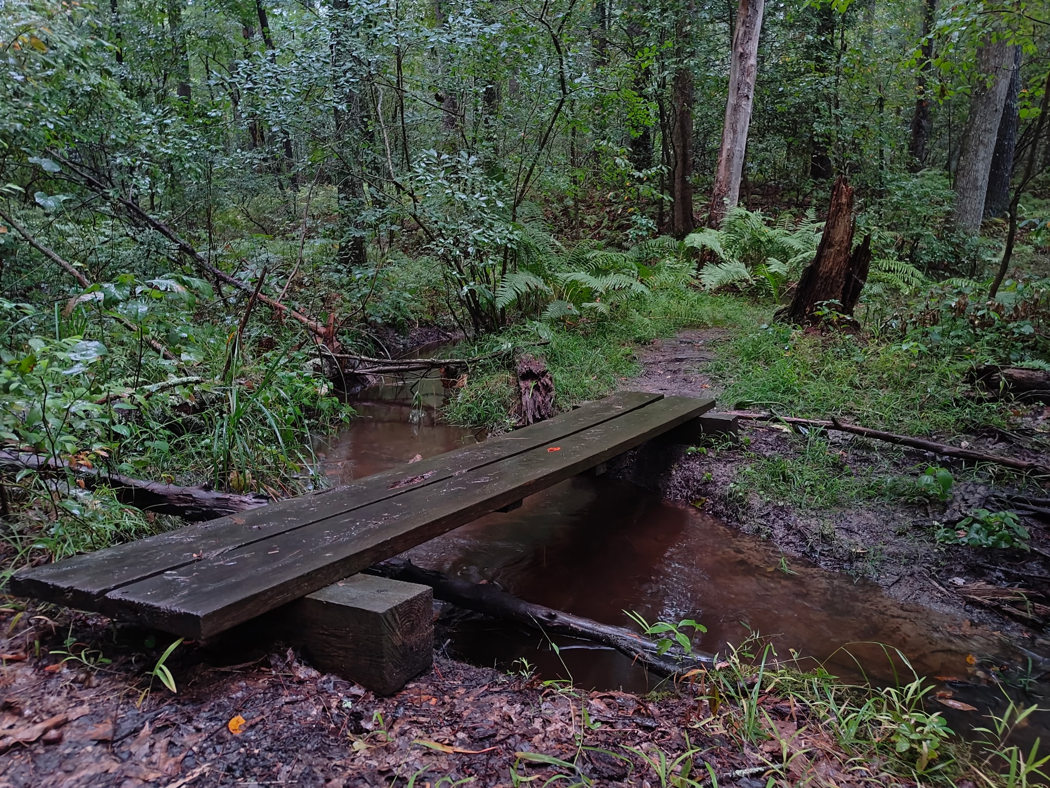 Wildlands Trust - Striar Conservancy - Halifax, MA