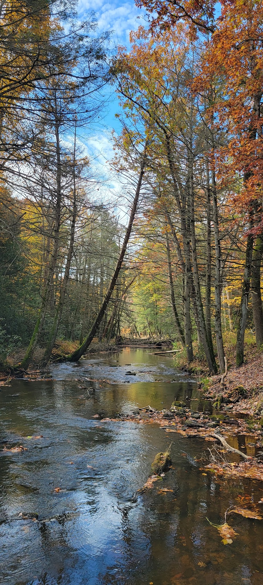 Clark's Creek Appalachian Trail Crossing - Halifax, PA