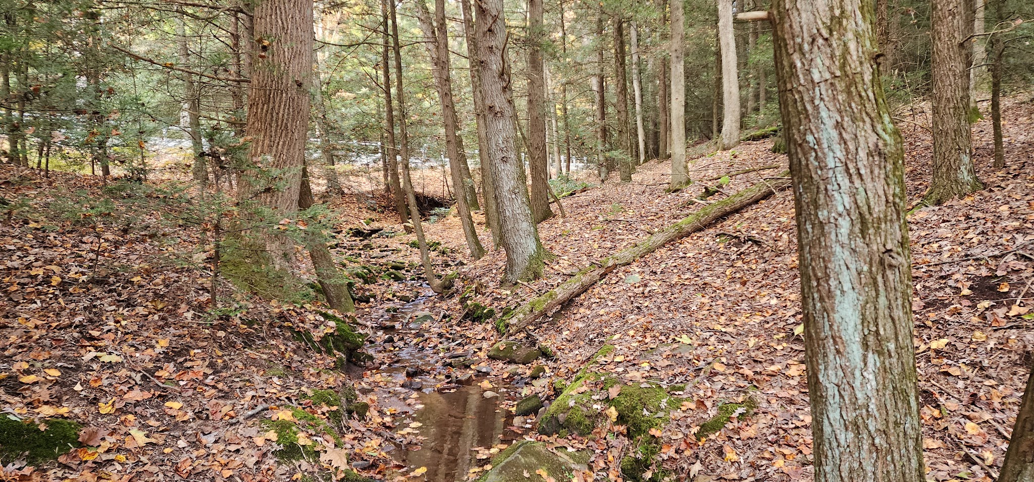 Clark's Creek Appalachian Trail Crossing - Halifax, PA
