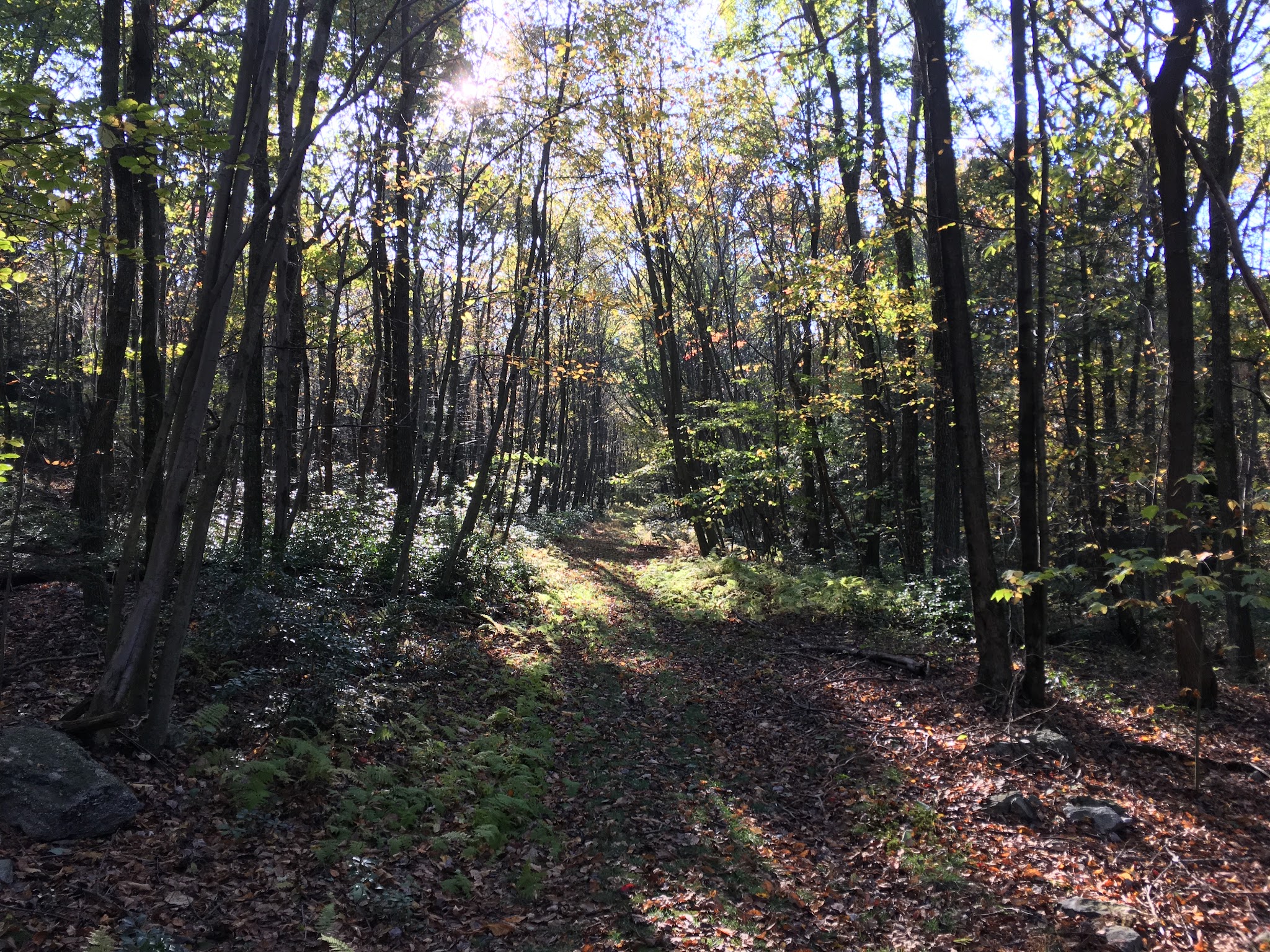 Trailhead access for Sand Springs trail/AT/Stone Tower/The General - Halifax, PA