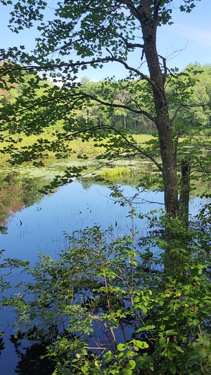 East Rd trailhead - Hampstead, NH