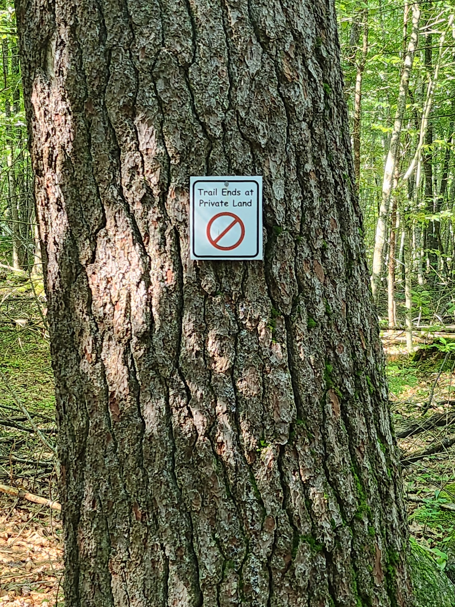 East Rd trailhead - Hampstead, NH