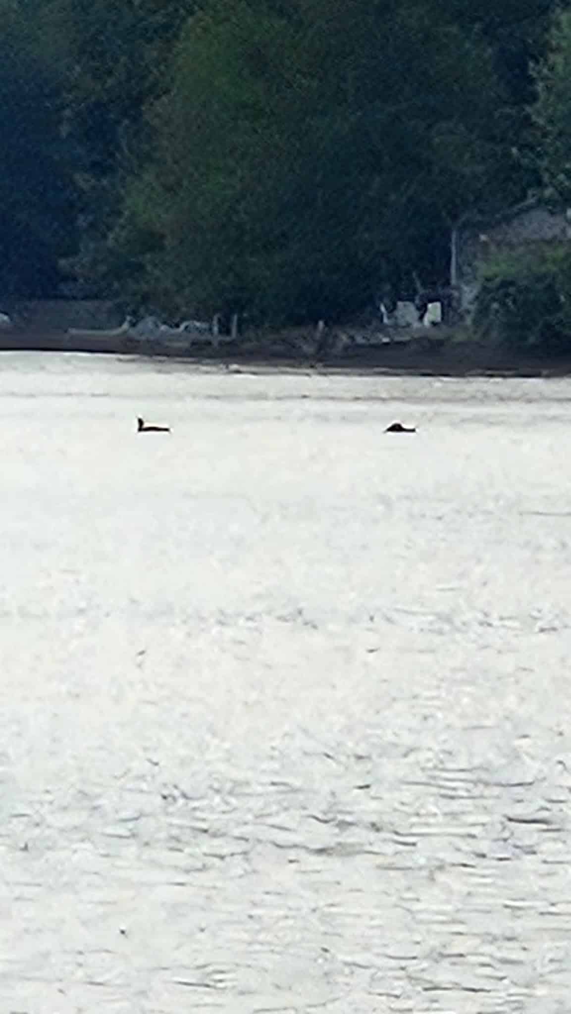 Hampstead Town Beach - Hampstead, NH