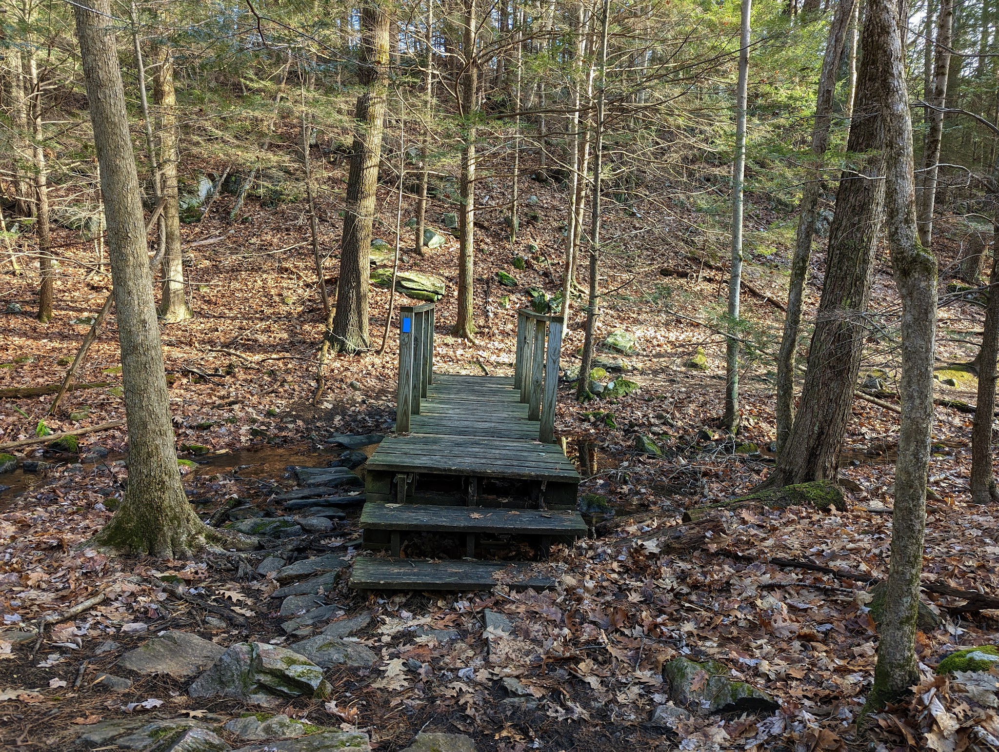Hampstead Town Forest - Western Section Trails - Hampstead, NH