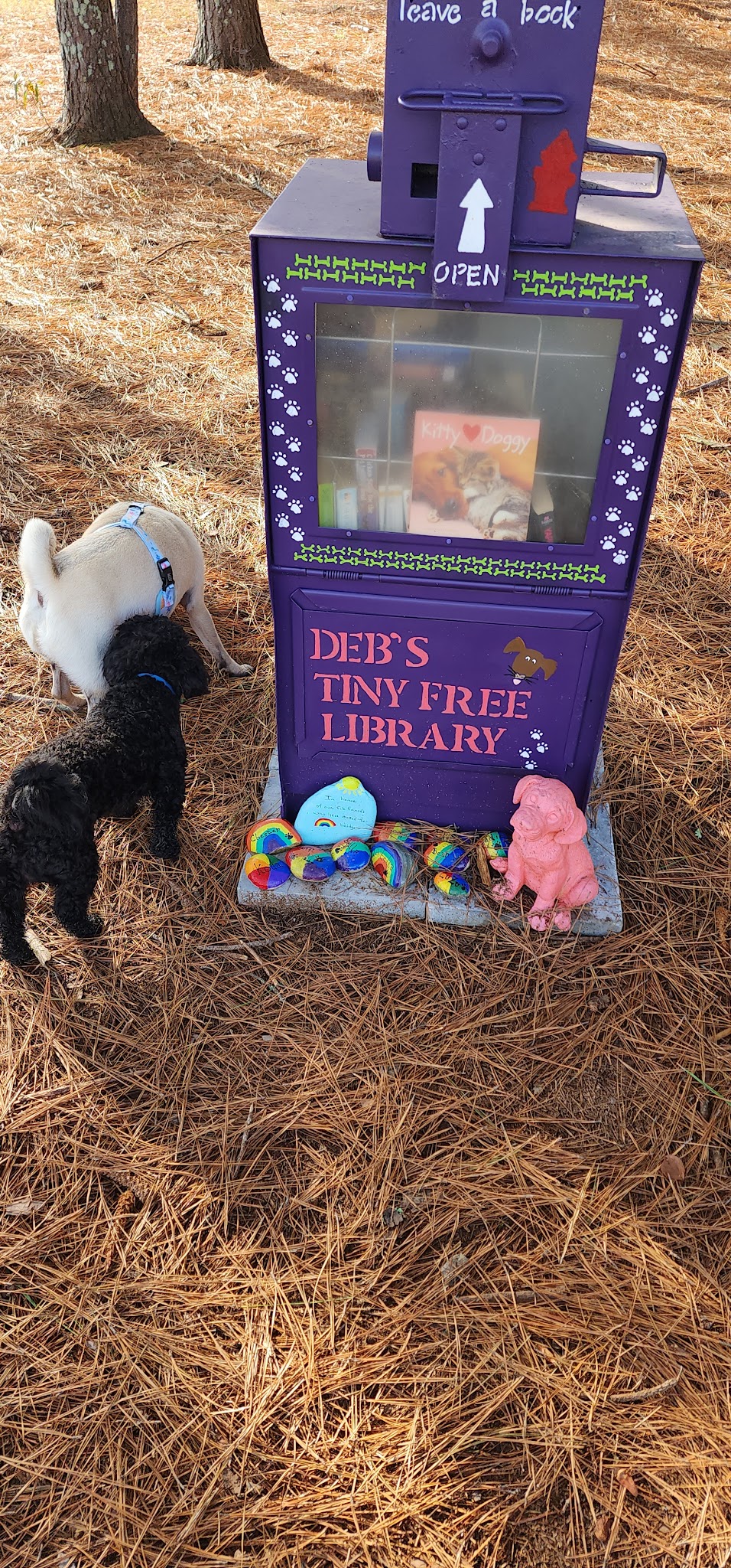 Dog park - Hampton, GA