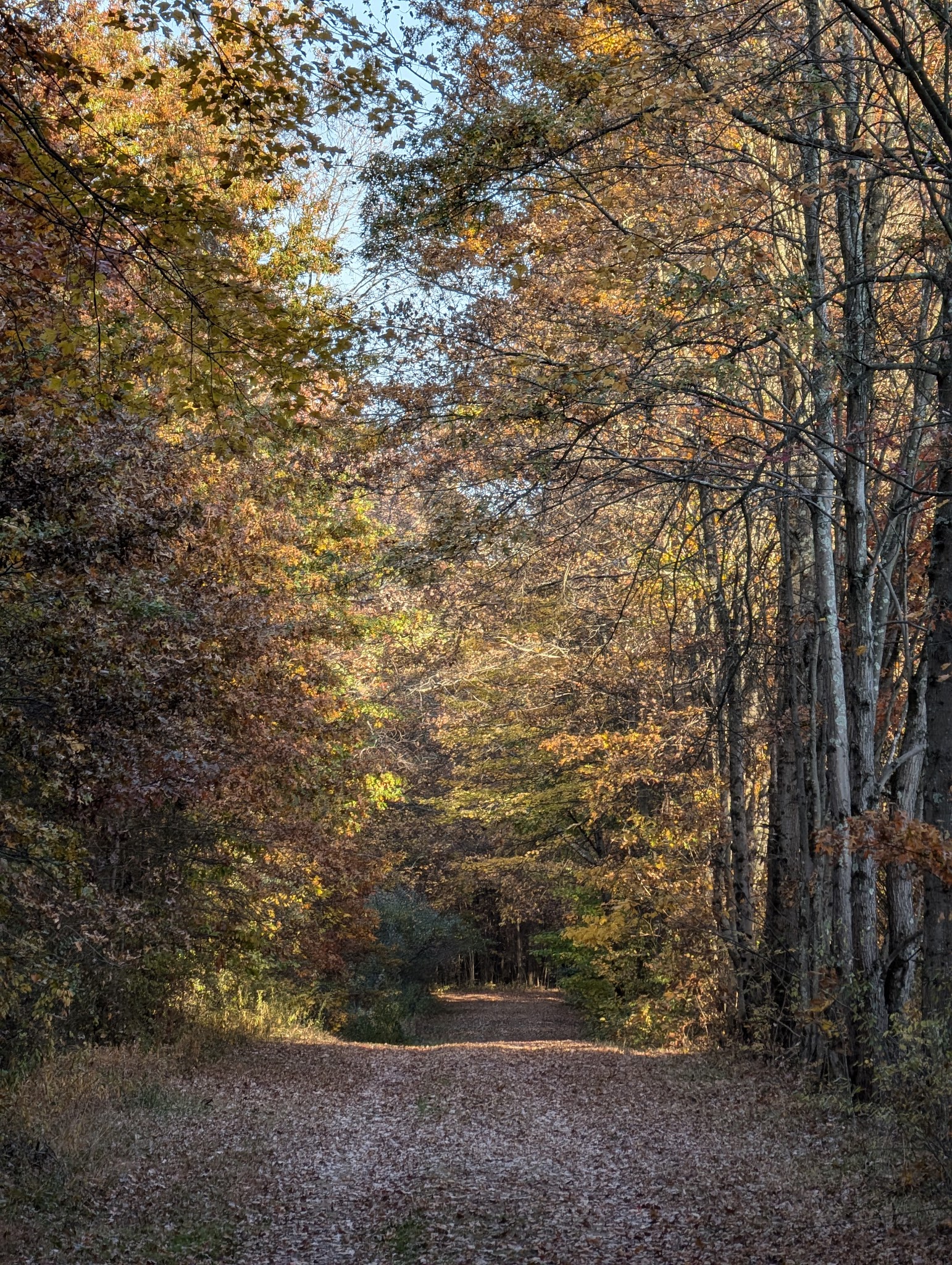 Hoffman Park - Hampton, NJ