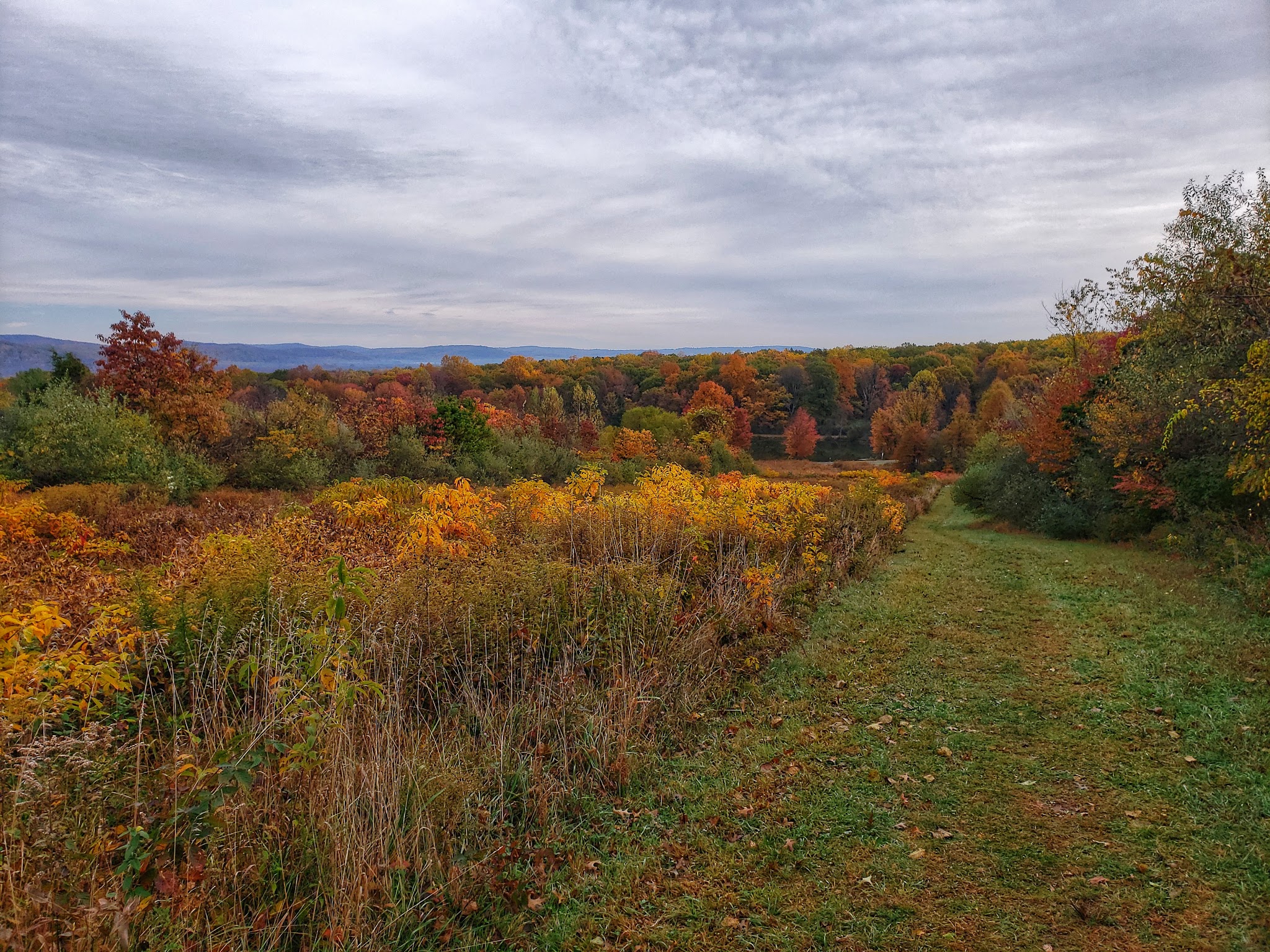 Hoffman Park - Hampton, NJ