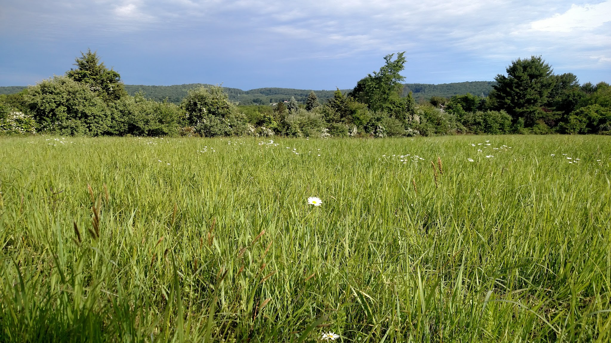 Hoffman Park - Hampton, NJ