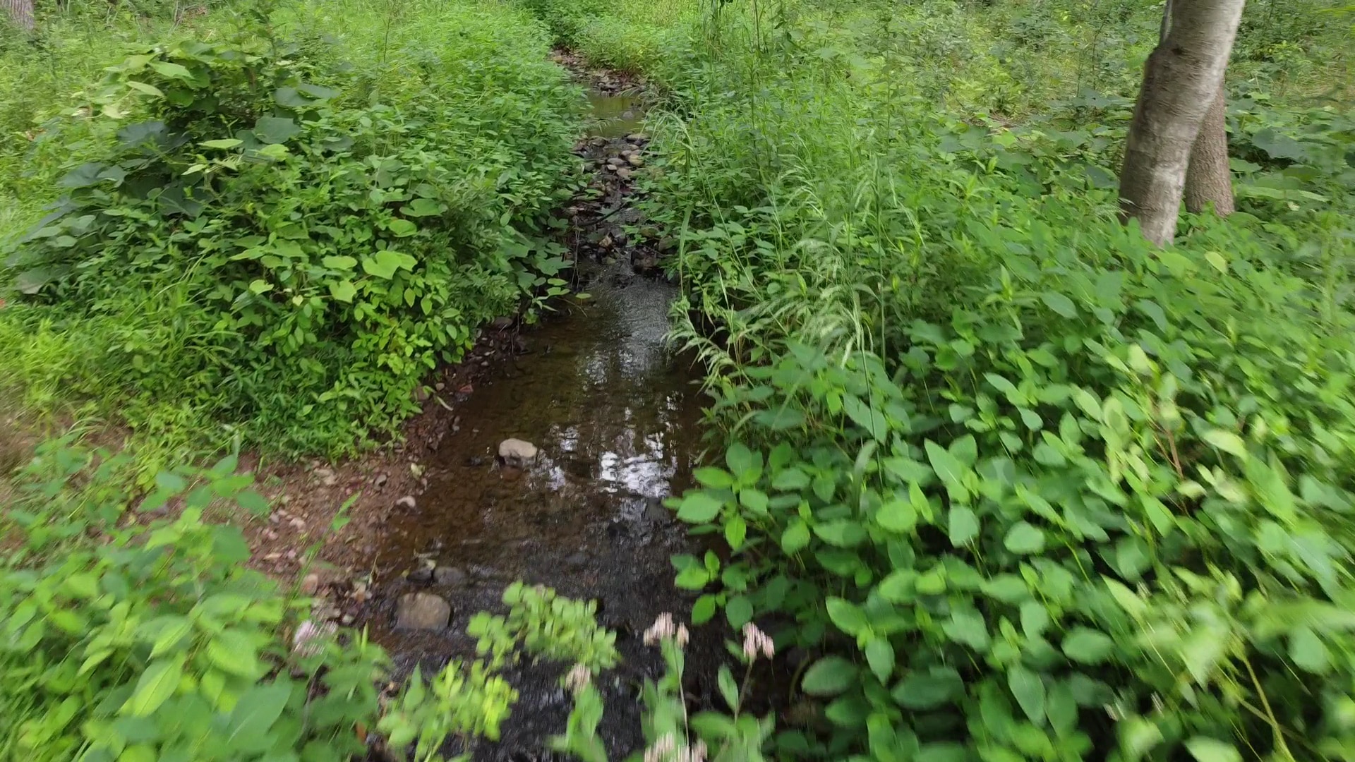 Hoffman Park - Hampton, NJ