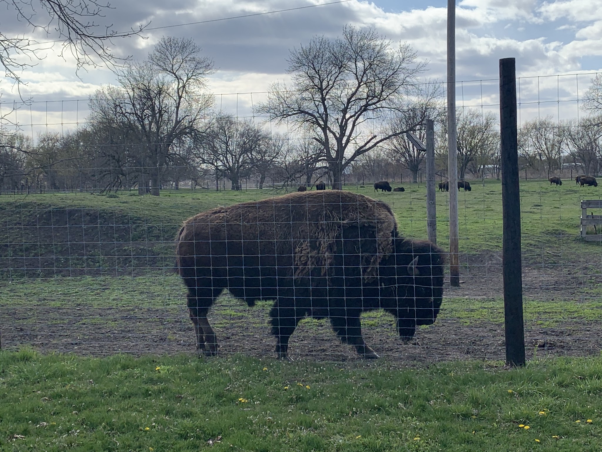 Hancock Memorial Park - Hancock, IA