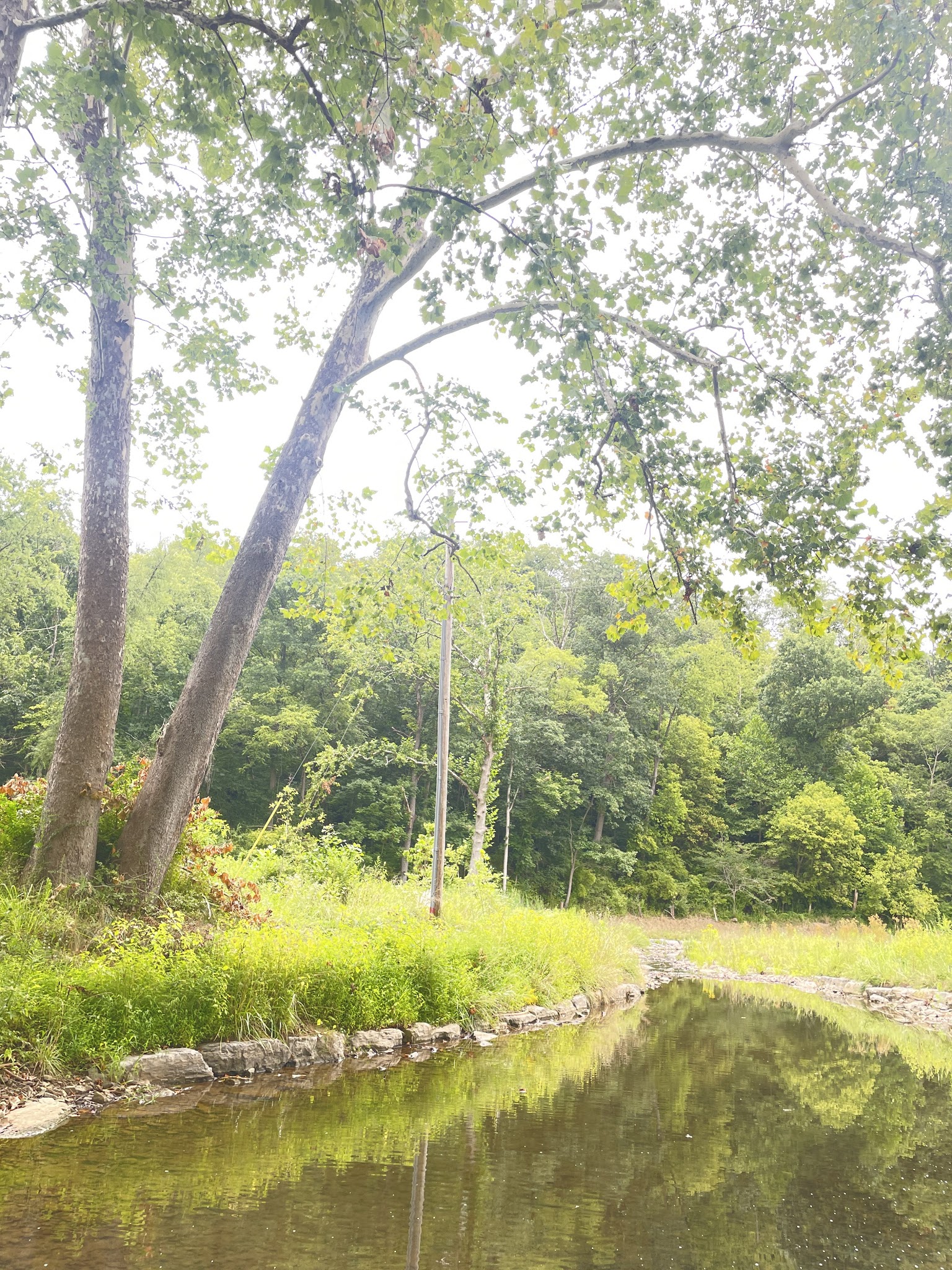 Kirkwood Park - Hancock, MD
