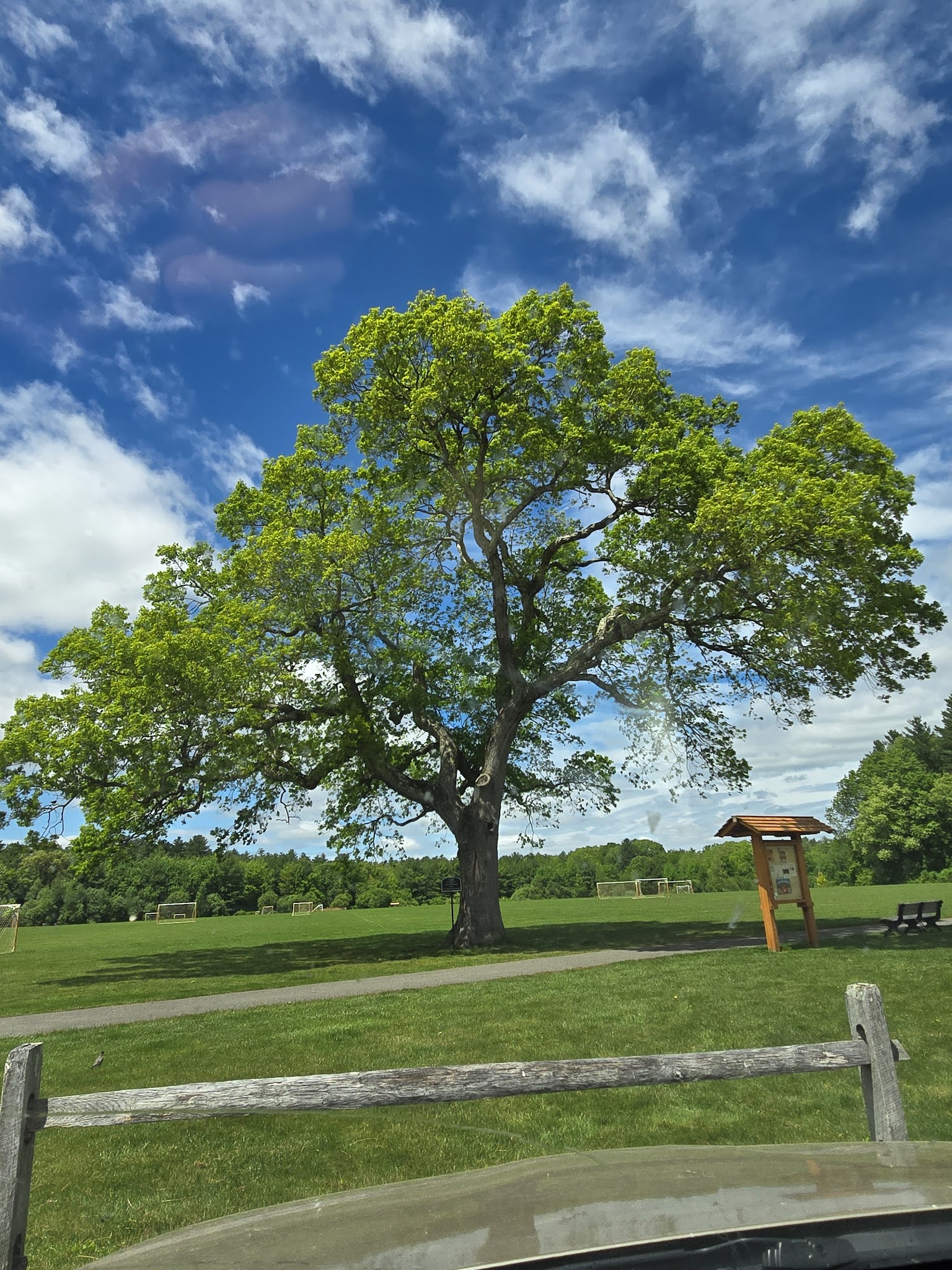 Forge Pond Park - Hanover, MA
