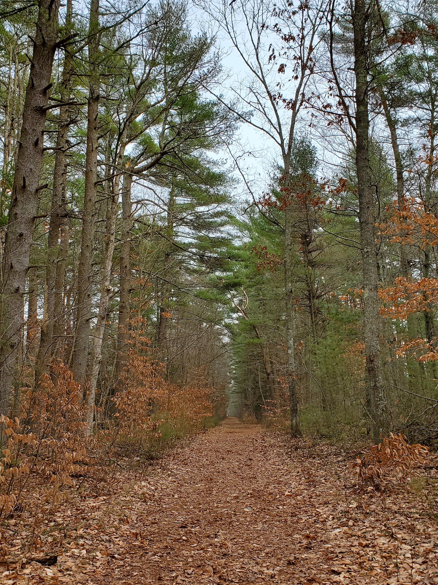 Forge Pond Park - Hanover, MA