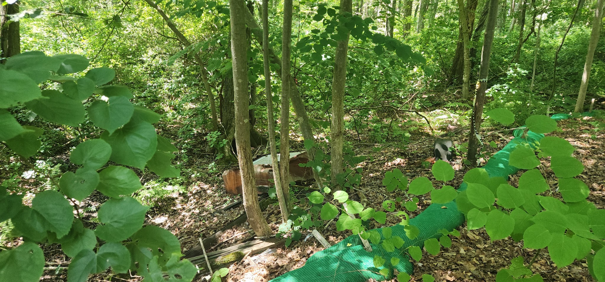 Hanover Branch Rail Trail - Hanover, MA