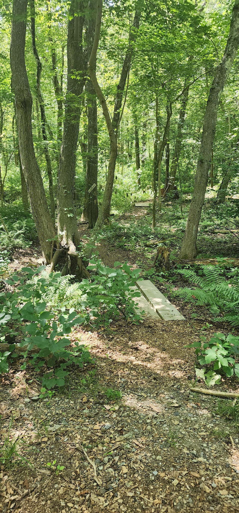 Hanover Branch Rail Trail - Hanover, MA