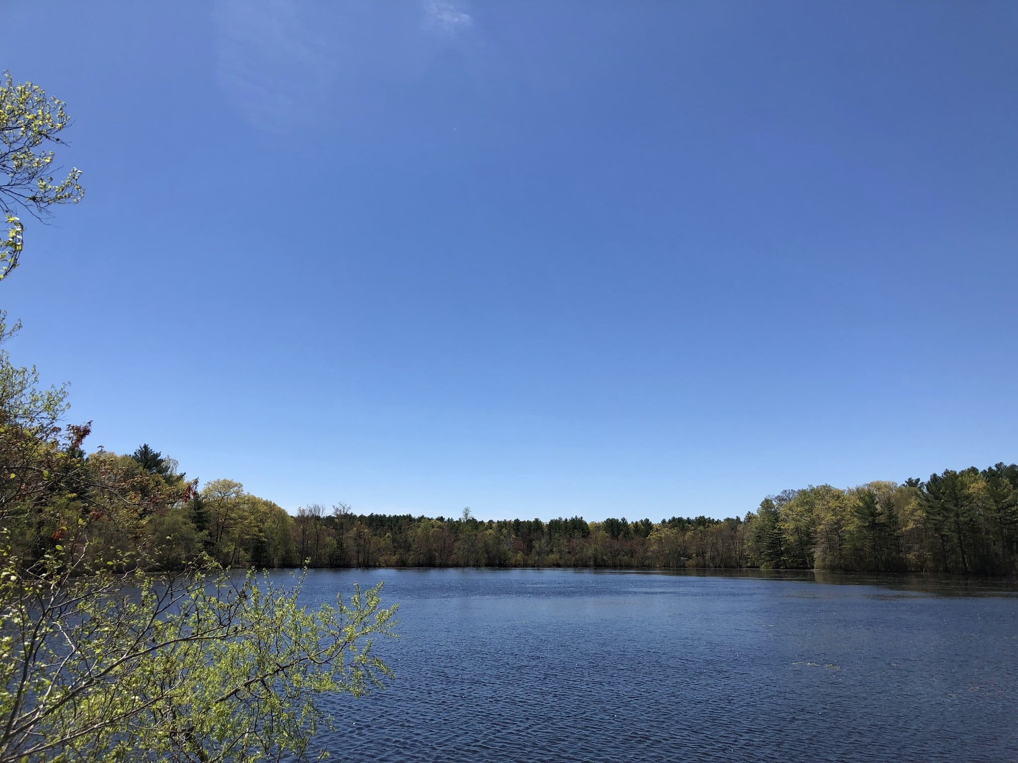 Burrage Pond Wildlife Management Area - Hanson, MA