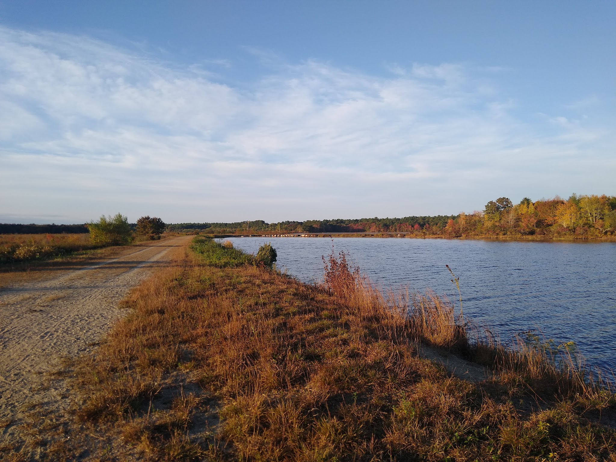 Burrage Pond Wildlife Management Area - Hanson, MA