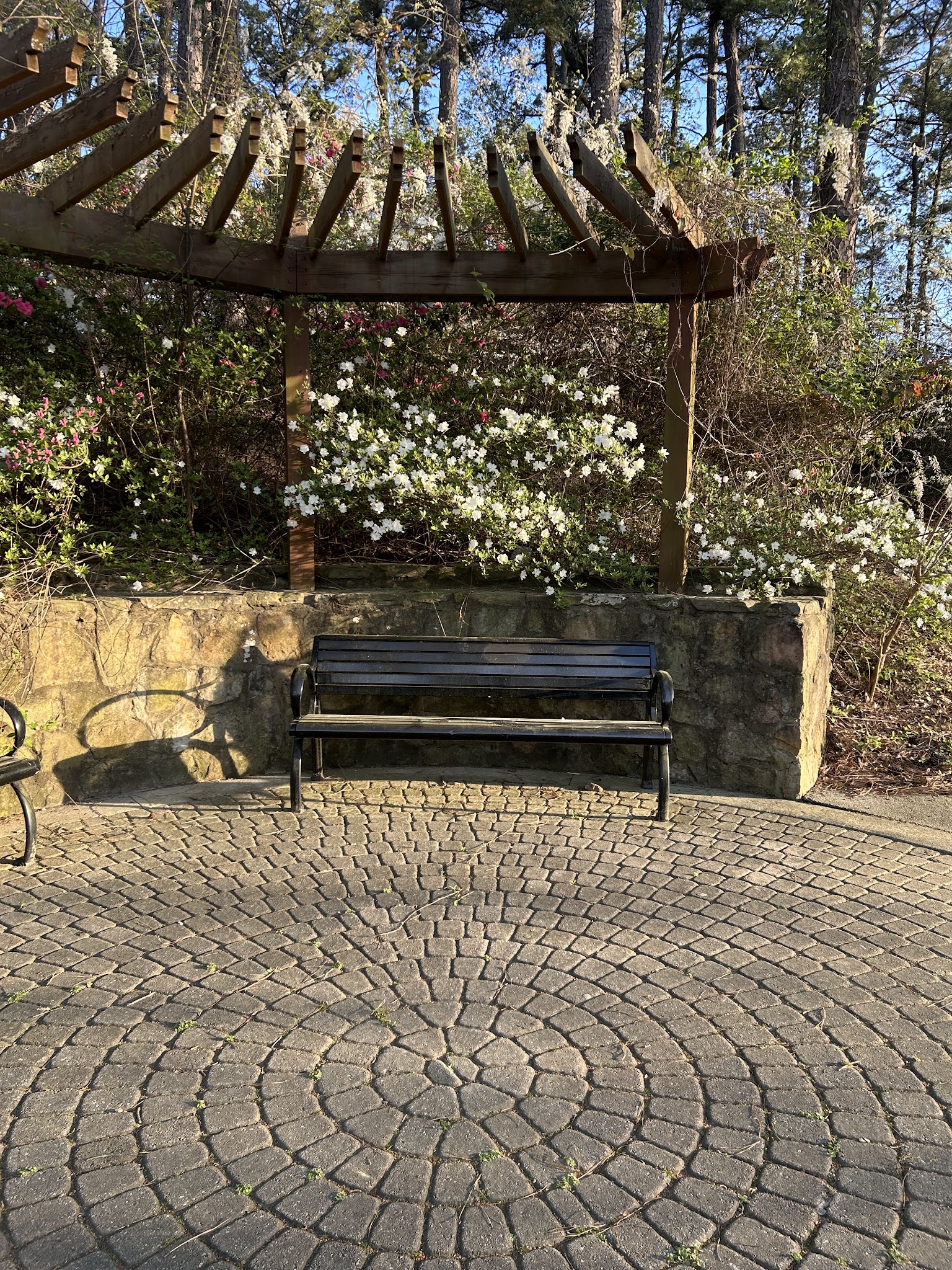 John R. Lewis Memorial Park & Dog Park - Hapeville, GA