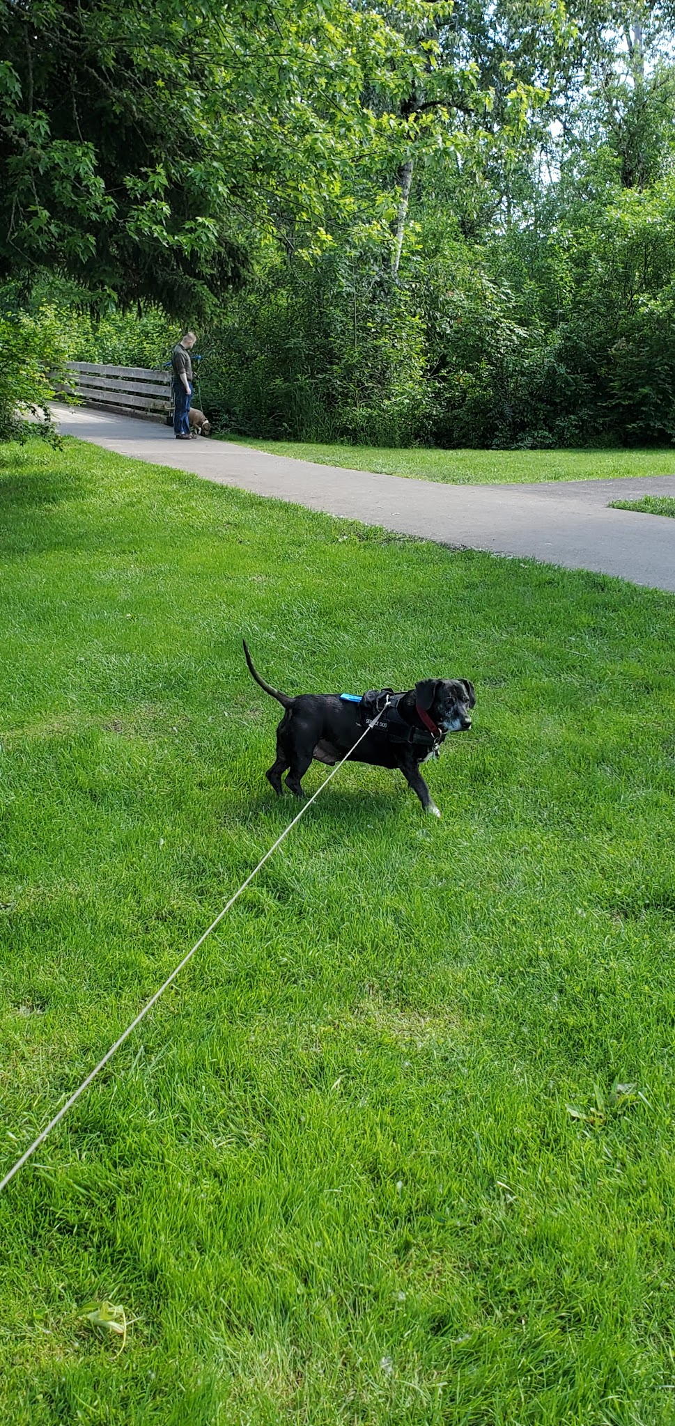 Happy Valley Off Leash Dog Park - Happy Valley, OR