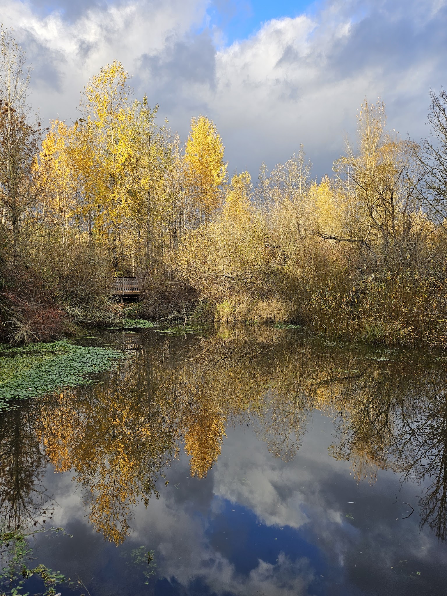 Happy Valley Park - Happy Valley, OR
