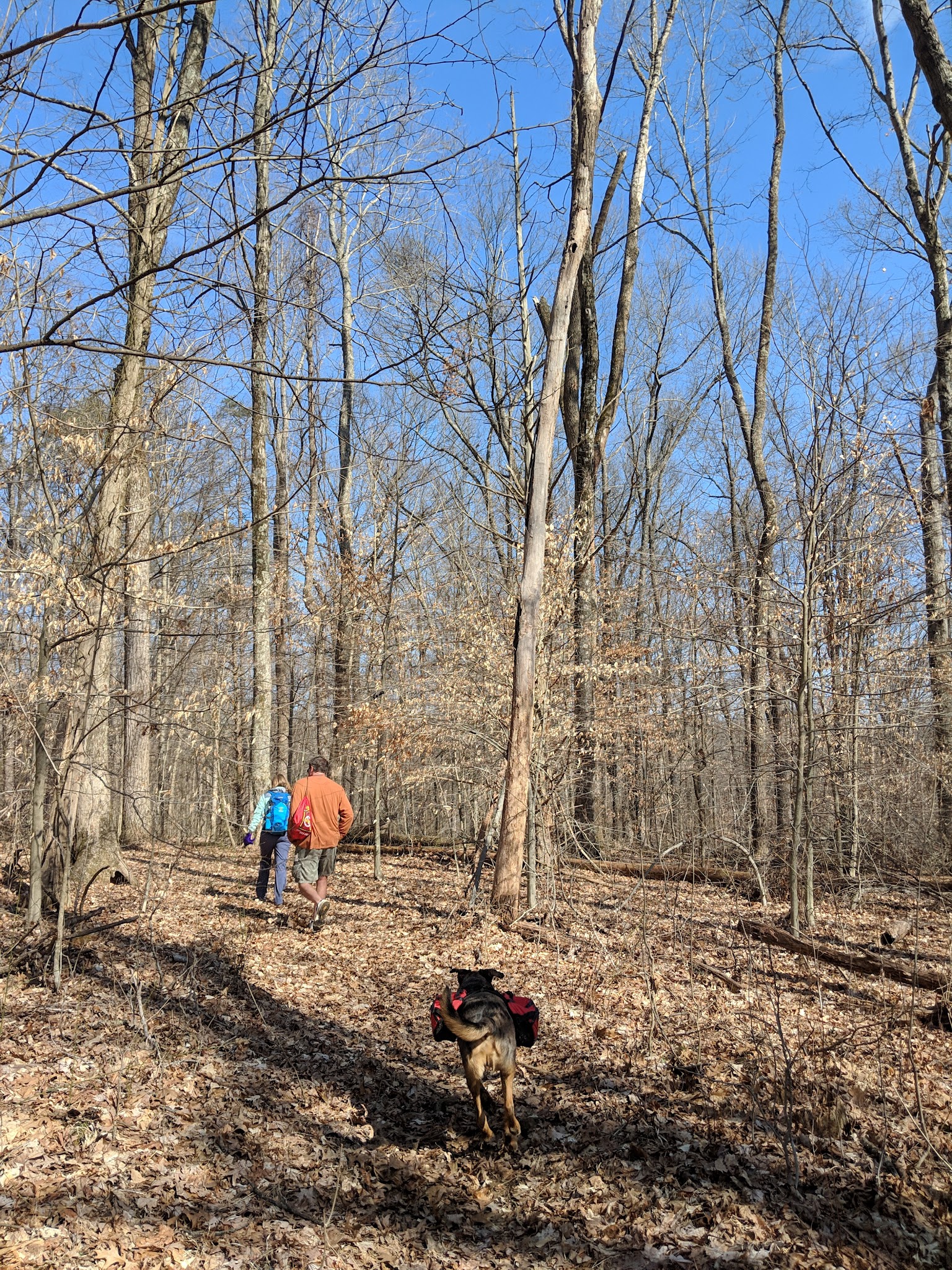 Lick Creek Trailhead - Hardinsburg, IN