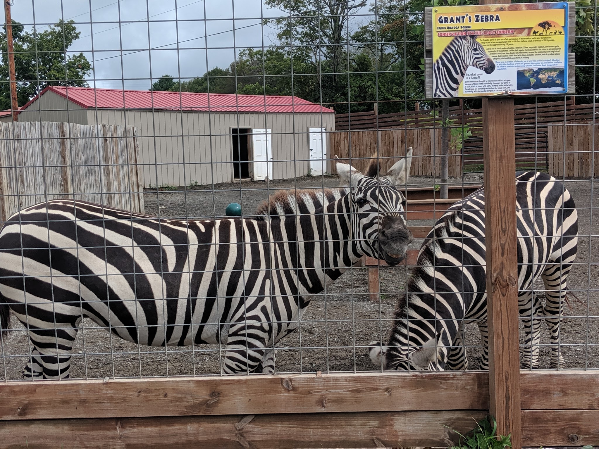 Animal Adventure Park - Harpursville, NY