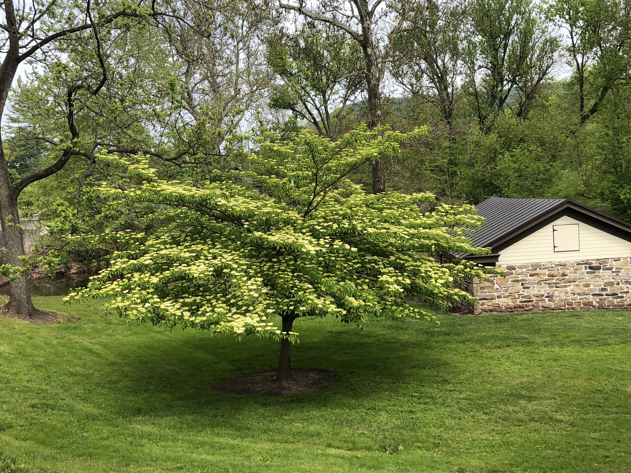 Dauphin County Parks Operation - Harrisburg, PA
