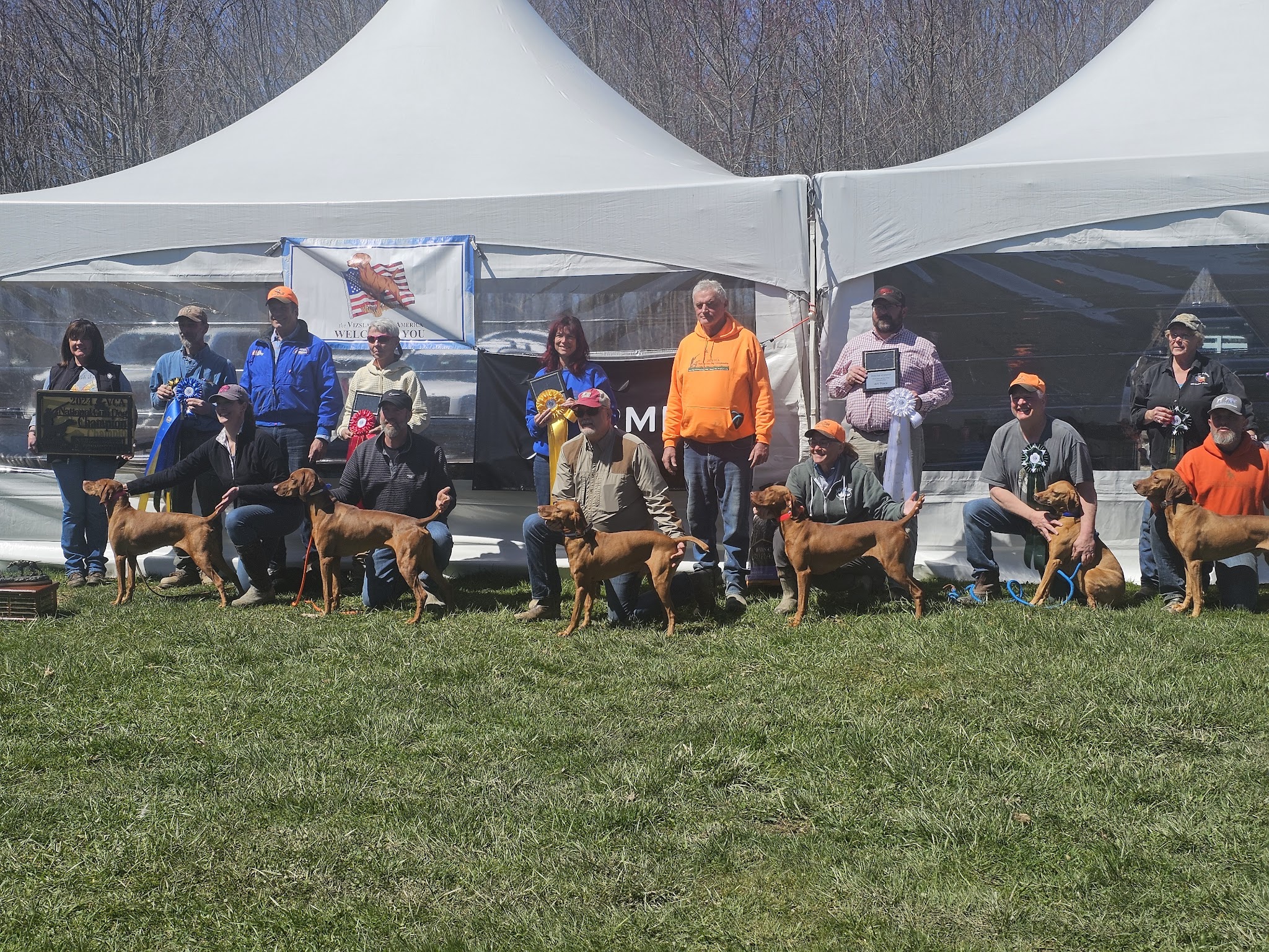 Oak Ridge Pointing Dog Club - Harrisville, PA