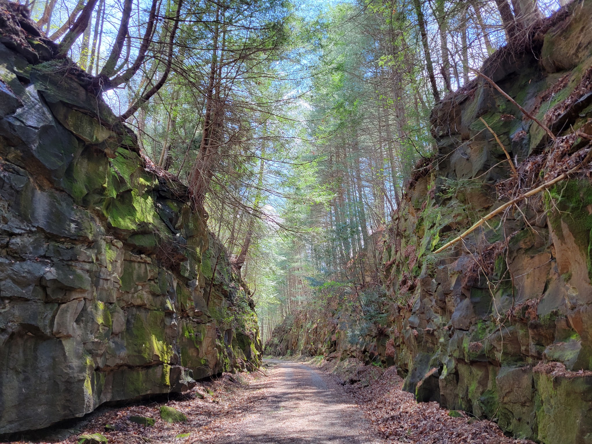 North Bend Rail Trail Access - Harrisville, WV