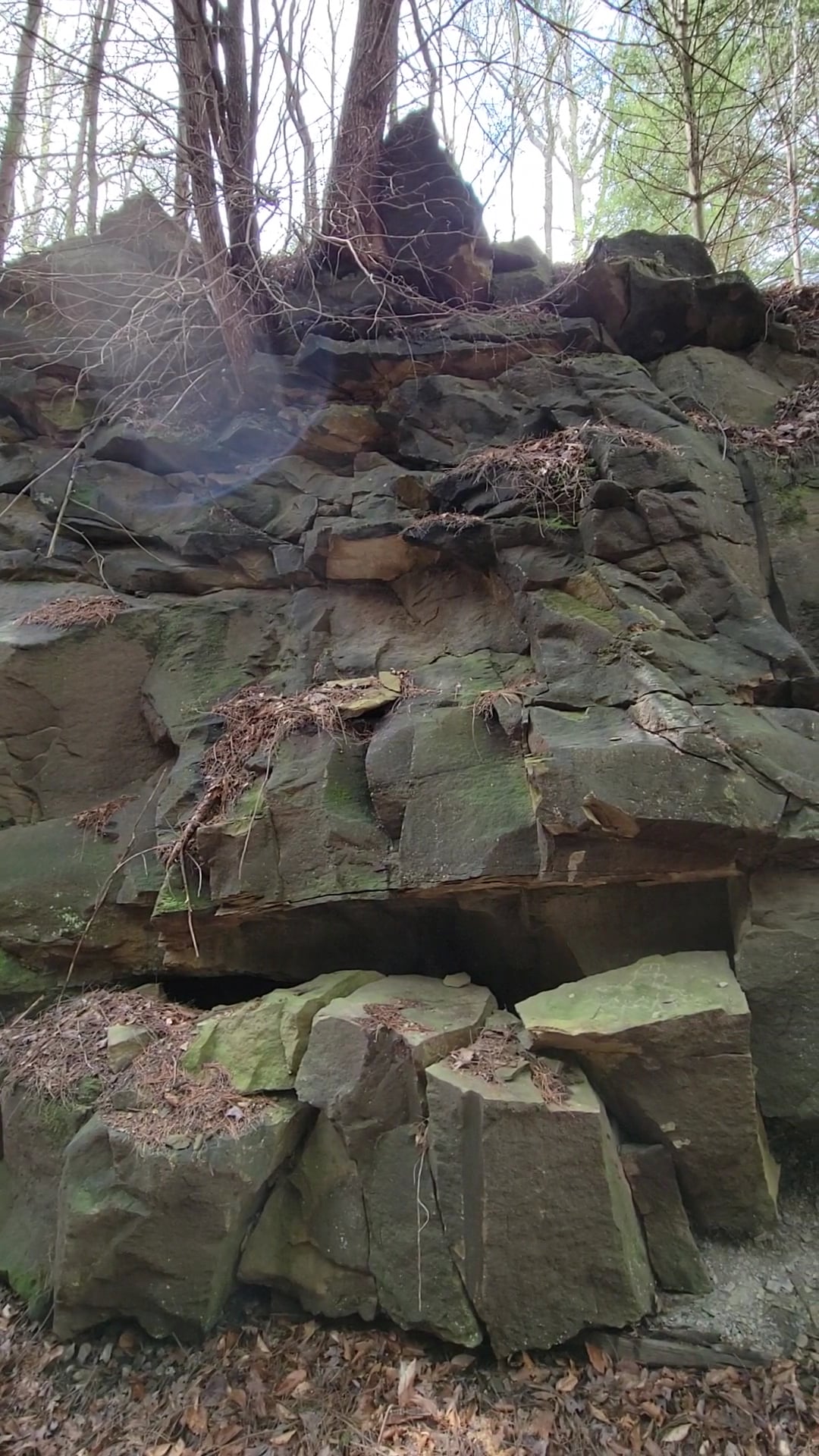 North Bend Rail Trail Access - Harrisville, WV