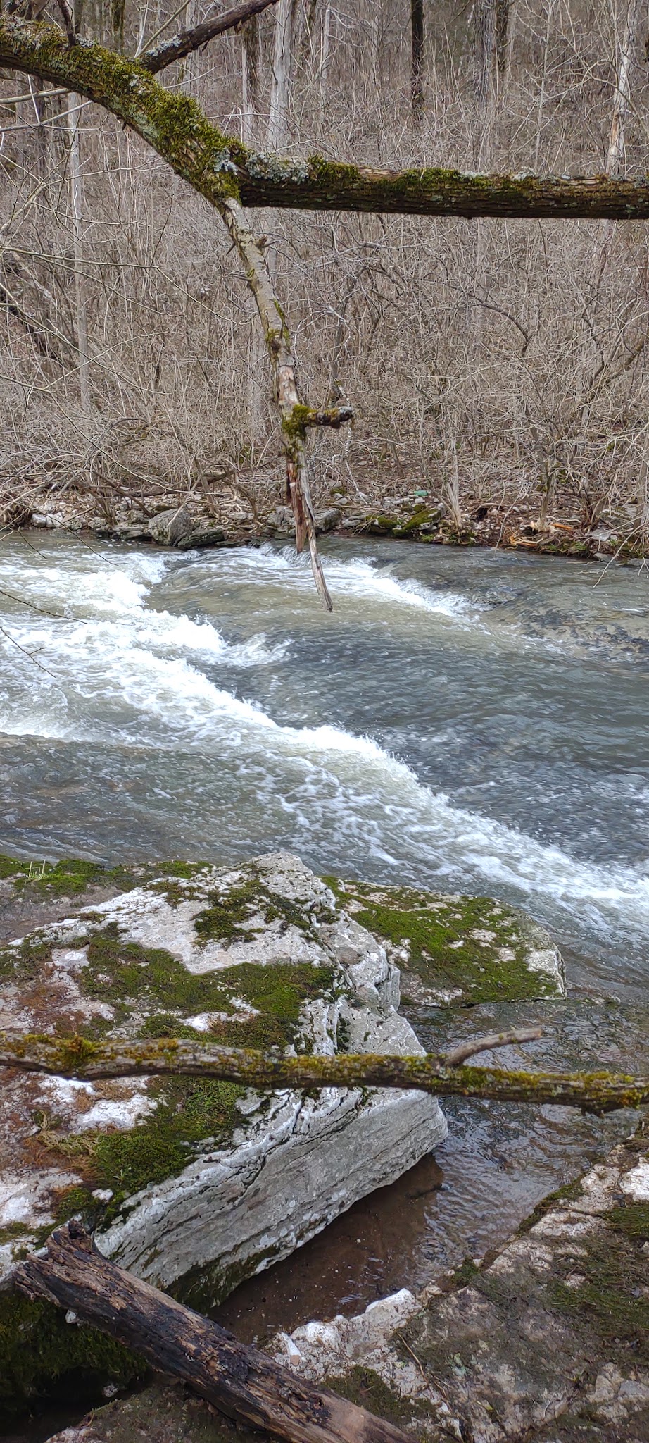 Chinquapin Trail - Harrodsburg, KY