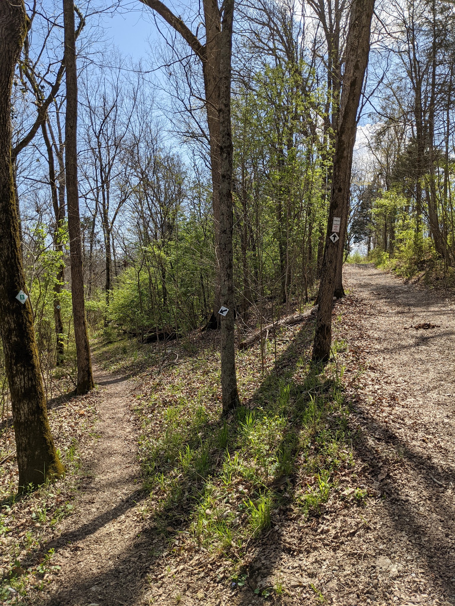 Chinquapin Trail - Harrodsburg, KY