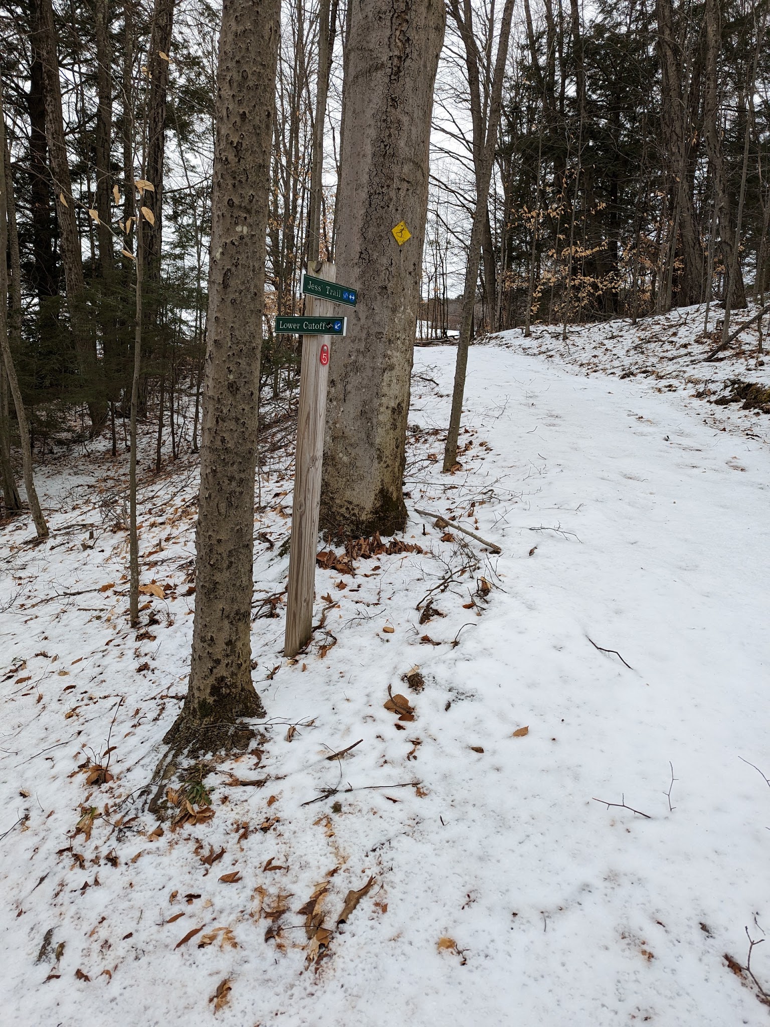 Hartland Winter Trails Parking - Hartland, VT