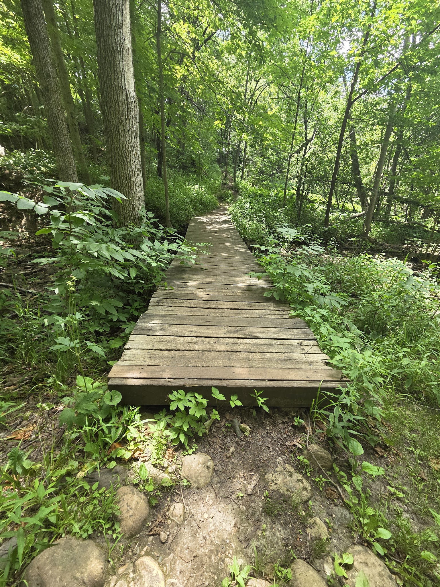 Ice Age Trail Parking Lot — Monches/Merton - Hartland, WI
