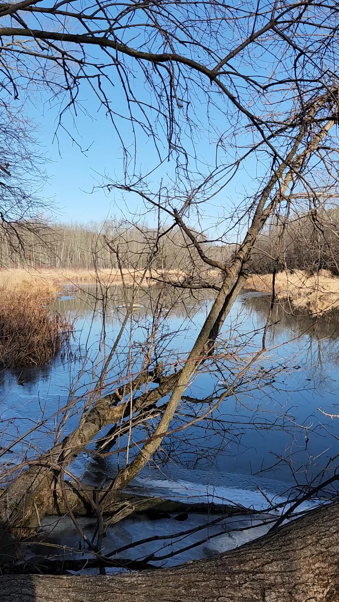 Ice Age Trail Parking Lot — Monches/Merton - Hartland, WI