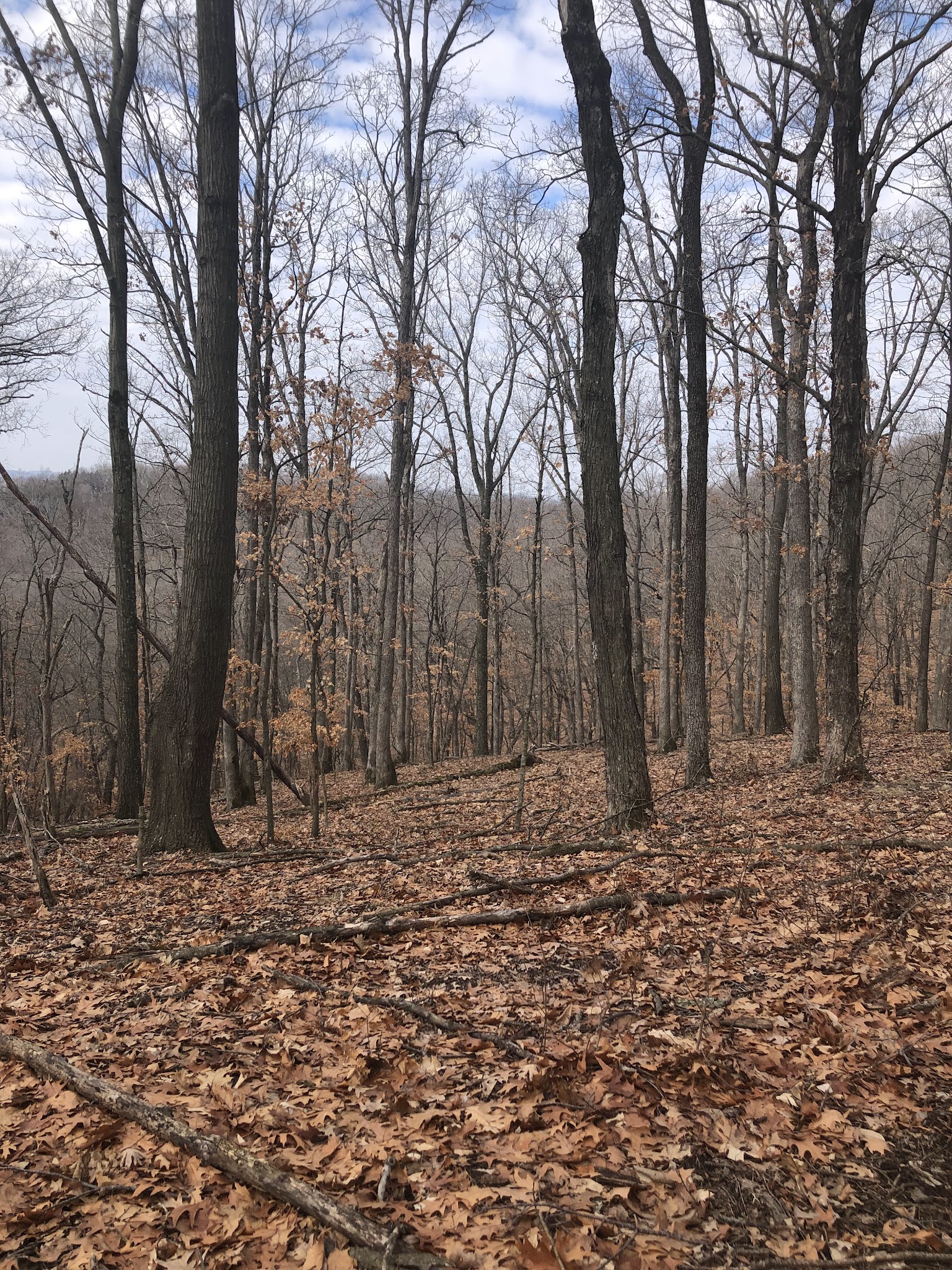 Hart Creek Conservation Area - Hartsburg, MO