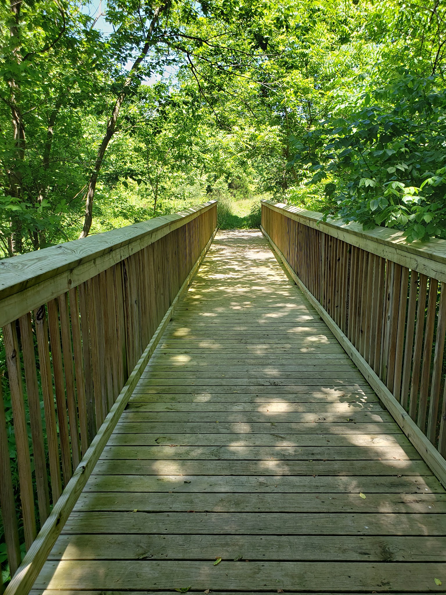 Hart Creek Conservation Area - Hartsburg, MO
