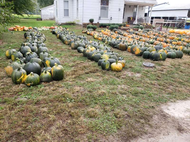 Hartsburg ball park - Hartsburg, MO