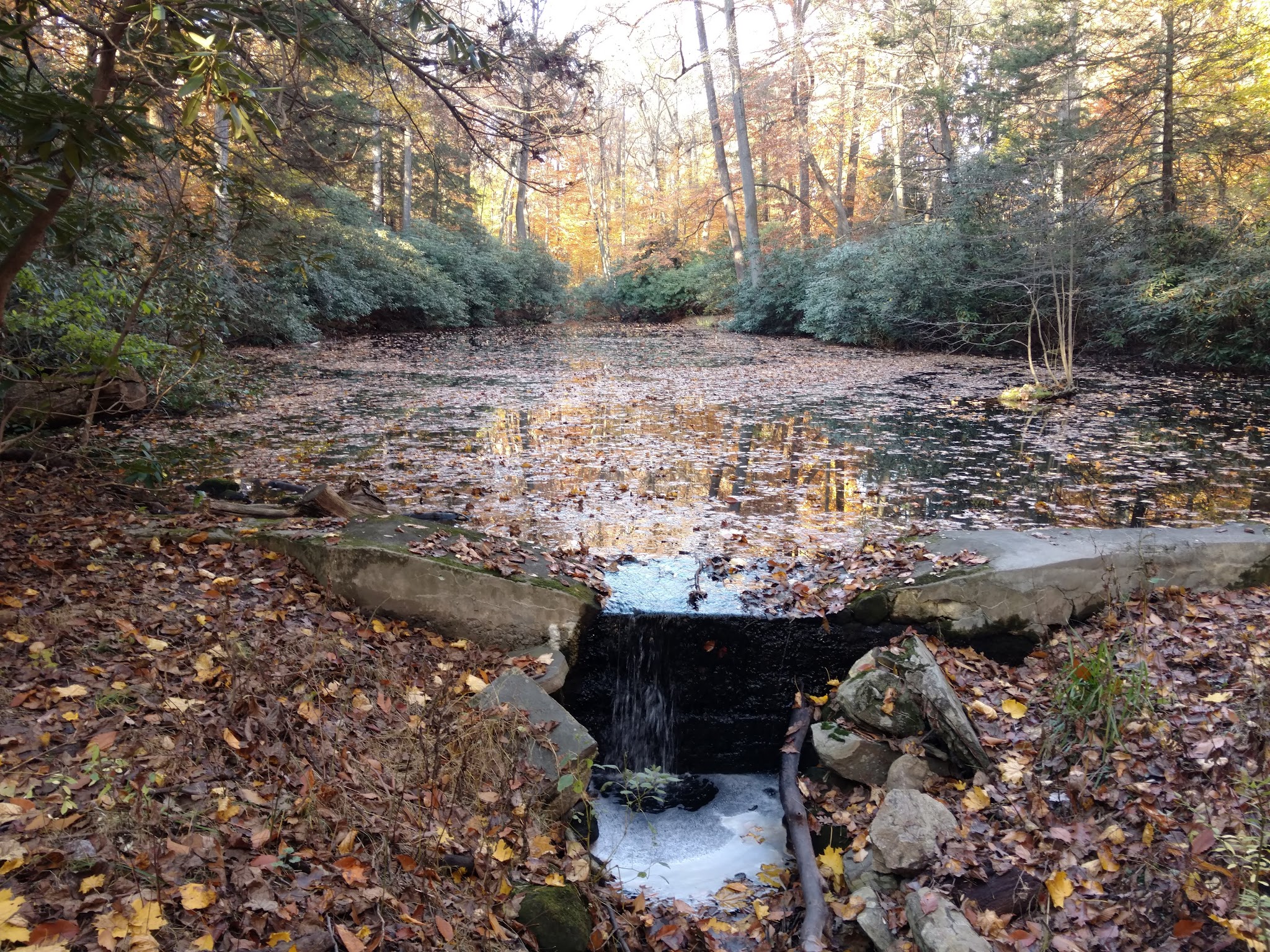 Hart’s Brook Park and Preserve - Hartsdale, NY