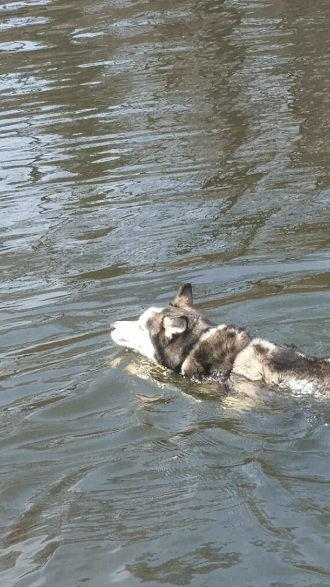 Hillside Park - Hastings-On-Hudson, NY