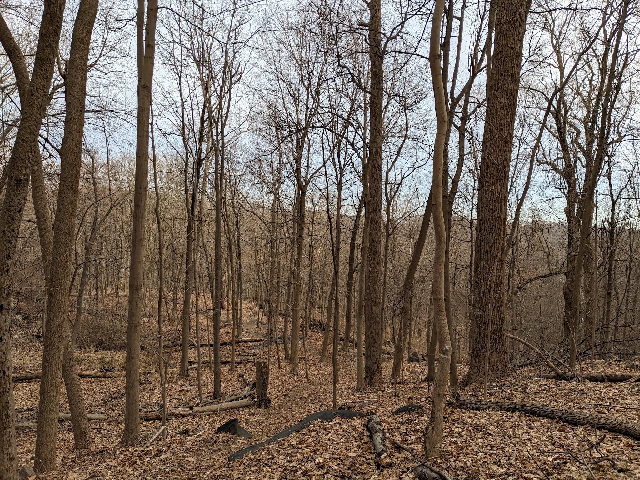 Hillside Park - Hastings-On-Hudson, NY